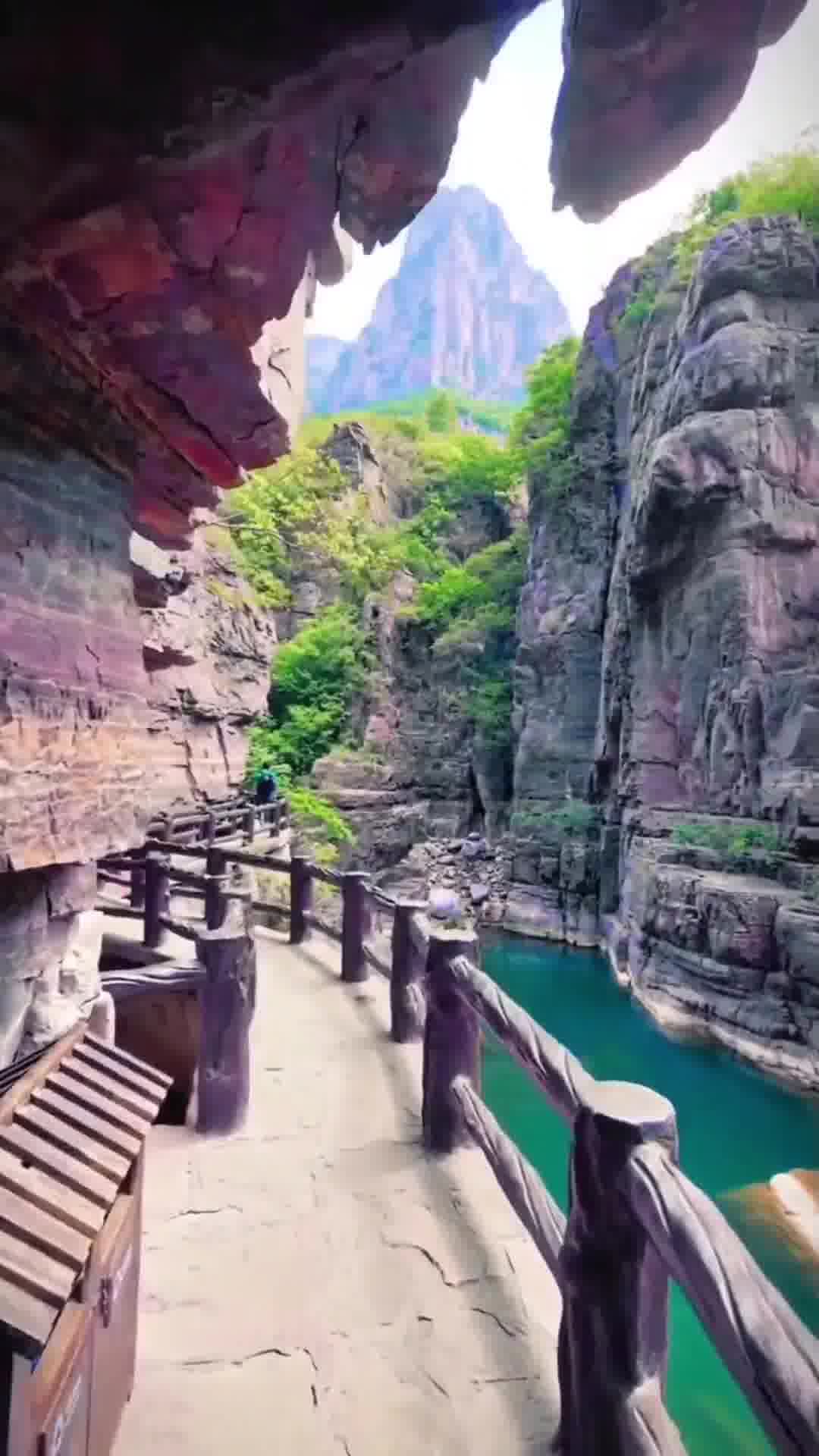 河南,学习之光,自信与成就的力量源泉