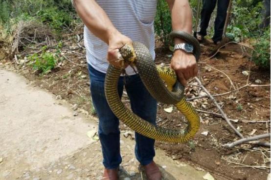 河南小巷深处的隐秘美食秘境