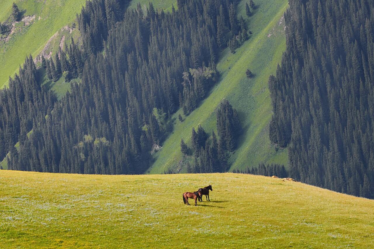 草原黄昏，新疆演员沉思时光